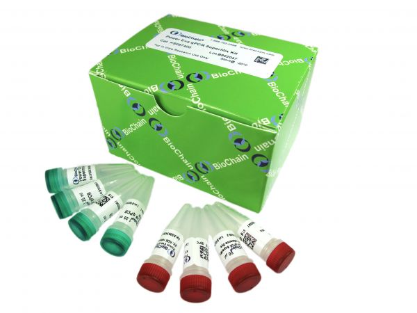 Eva QPCR SuperMix Kit (400rxn)