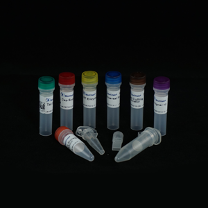 RapidSeq High Yield Small RNA Sample Prep Kit - With Aligner 1-12