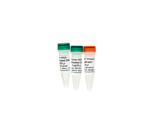 Human Methylated & Non-Methylated (WGA) DNA Set