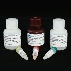 Stool DNA Isolation Kit