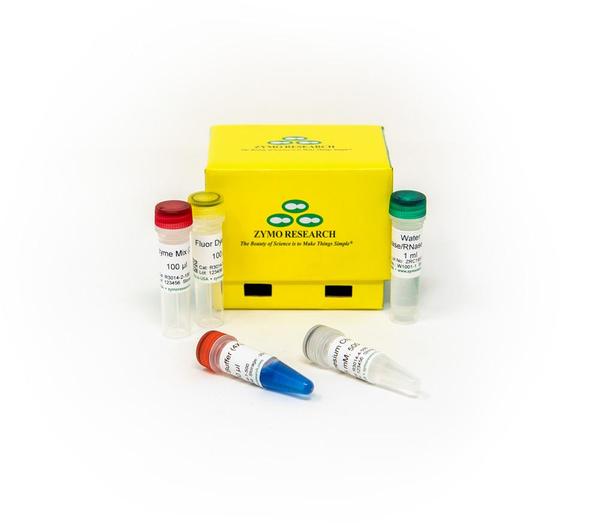 ZymoScript One-Step RT-qPCR Kit